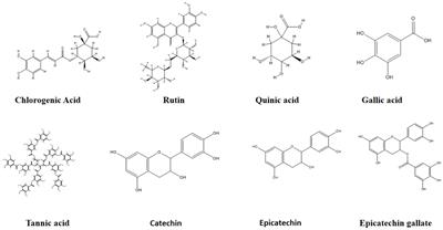 Simultaneous quantitative screening of 53 phytochemicals from Rheum tataricum L. roots: a comparative study of supercritical CO2, subcritical ethanol, and ultrasound-assisted extraction for enhanced antioxidant, antibacterial activities, and molecular docking study